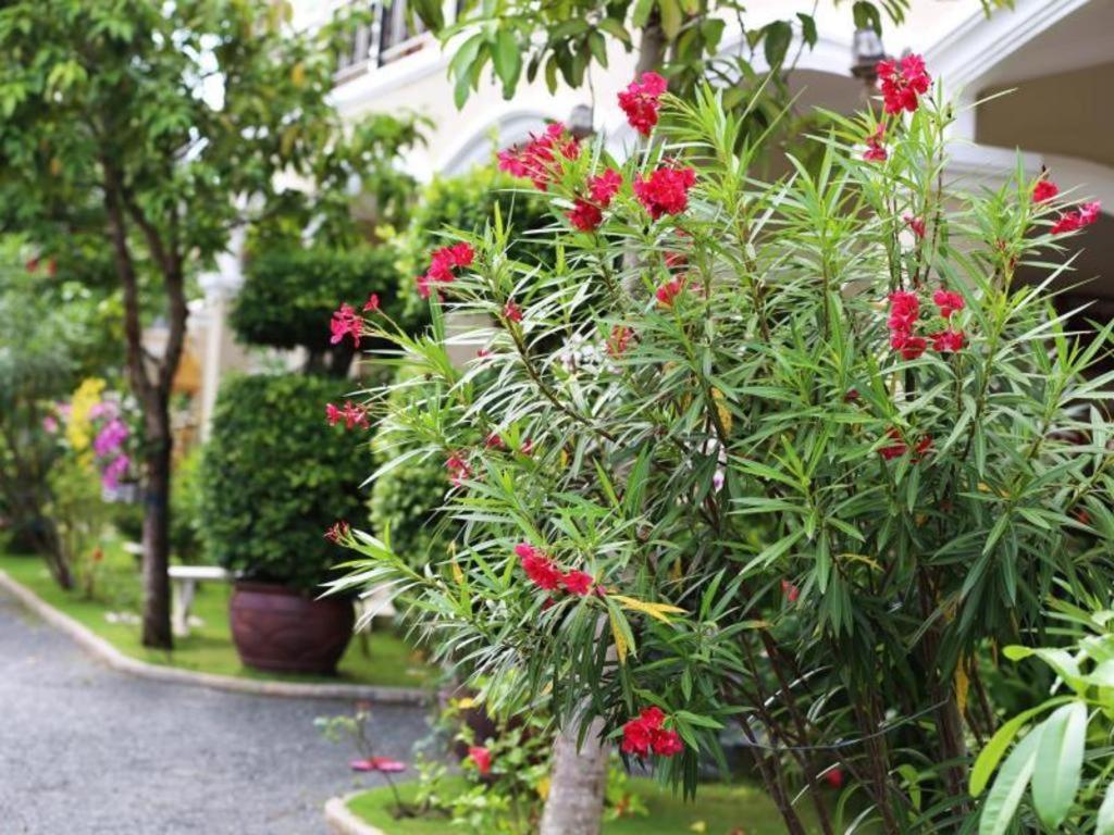 Takeo Alice Villa Hotel מראה חיצוני תמונה